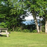 Picnic in Freeport
