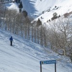 Sundance dreams