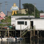 Beach Cliff Sardine Man, Prospect Harbor ©Hilary Nangle