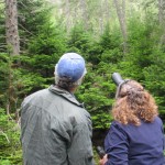 Plan now to attend Maine’s spring birding festivals