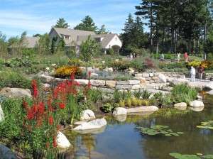 Cool off on a hot day in one of Maine's spectacular gardens, such as the Coastal Maine Botanical Gardens. Hilary Nangle photo. 