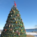 A close-up of Rockland's 2010 Lobster trap tree, on the waterfront, in downtown Rockland, Maine. Hilary Nangle photo.