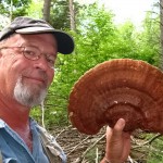 Learn to find and prepare wild mushrooms in Mid-coast Maine