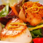 New, closed, and renovated for 2011: Food and dining in Bar Harbor, Maine