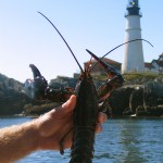 Let’s talk lobster: Maine lobster shacks, Maine lobster festivals, Maine lobsterboat races, Maine lobsterboat tours