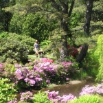 10 reasons to visit Maine in late spring