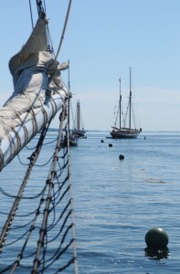 Windjammers head out of Camden Harbor for a morning sail to Rockland for the annual Parade of Sail. Tom Nangle photo. 
