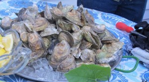 Fresh North Haven Oysters. Hilary Nangle photo
