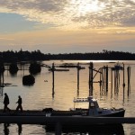 North Haven: autumn on a Maine island, oysters, organic produce, and Angela Adams