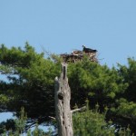 Maine news and notes: Memorial Day Weekend events; deals that require advance planning