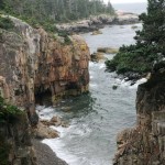 Science, nature, talks, and Maine humorist Tim Sample: all at Acadia’s SERC this summer