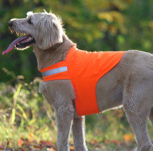 Dog Be Gone No Fly Zone canine safety vest. Photo courtesy Dog Be Gone