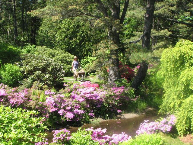 Asticou Garden, Northeast Harbor