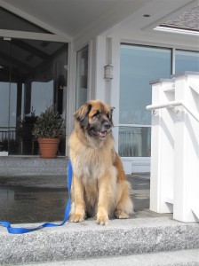 Bernie at the Inn by the SEa