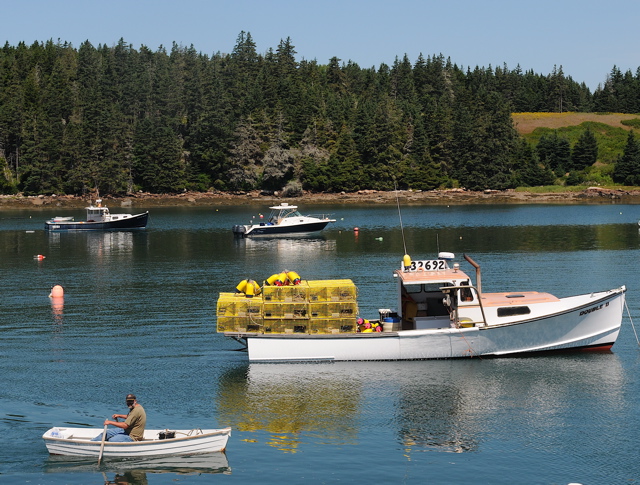 Every year, lobstermen race their boats in fishing harbors along the Maine Coast. Tom Nangle photo