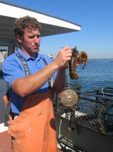 Take a lobster boat tour along the Maine coast to learn everything there is to know about the tasty crustaceans and perhaps catch your dinner, too. Hilary Nangle photo