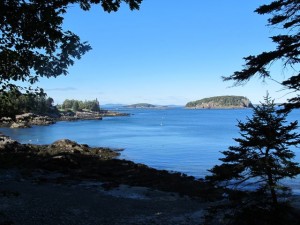 The ruins of Acadia Natonal Park co-founder George Dorr's home are hidden in the Compass HArbor section of Acadia National Park. Hilary Nangle photo