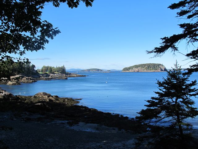 The ruins of Acadia Natonal Park co-founder George Dorr's home are hidden in the Compass HArbor section of Acadia National Park. Hilary Nangle photo