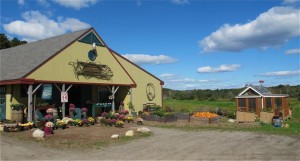 Stop by Jordan's Farm in Cape Elizabeth, Maine, for fresh produce, then stick around for dinner at The Well. Hilary Nangle photo. 