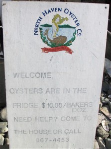 Equally sweet and salty, North Haven Oysters are worth a visit to the island in Penobscot Bay. Hilary Nangle photo. 