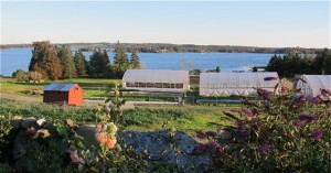 The greenhouses at Turner Farm on North Haven Island, Maine, are designed to move forward and backward. Hilary Nangle photo.