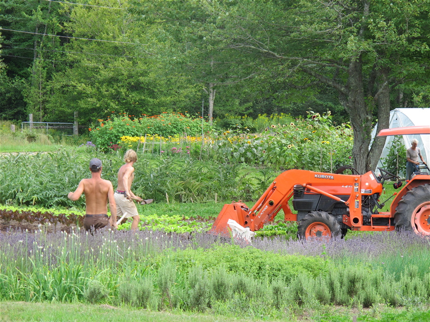 Workers at Four Season Farm, in Brooksville. 