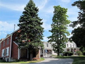 Maple Hill Farm abuts miles of walking trails. hilary Nangle photo.