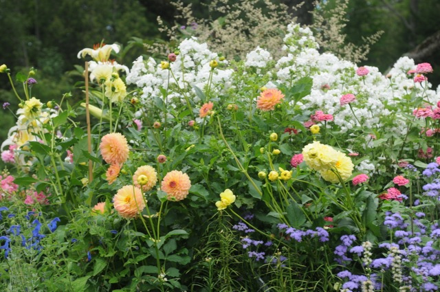 Maine Garden tours take place from June into Septeber every year. ©Tom Nangle