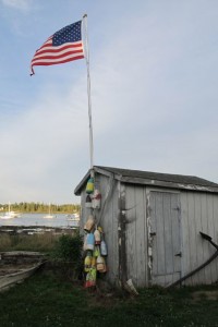 Jonesport is a lobstering community in down east Maine, but it's also great for birders who want to visit Great Wass Island. Hilary Nangle photo.