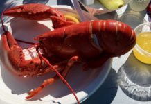 One of Maine's Best food festivals