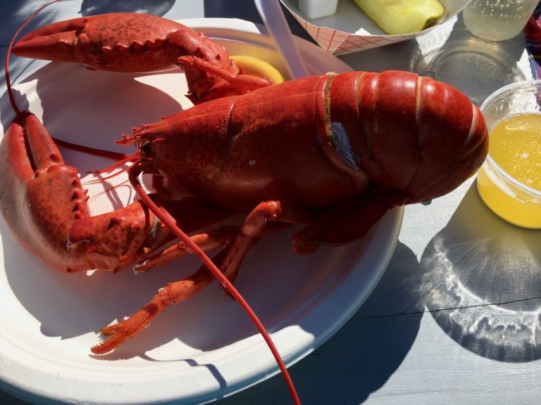 One of Maine's Best food festivals