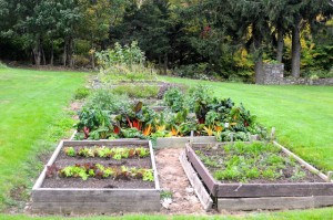 Kitchen Garden, Blair Hill. Tom Nangle photoDSC_4826