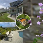 2017GardenPromo Mosaic
