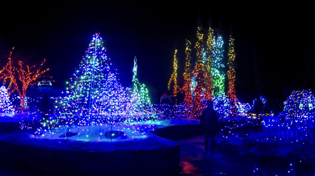 Coastal Maine Botanical Gardens Gardens Aglow