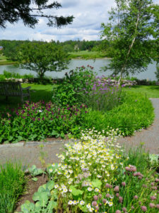 Slip away to the Charlotte Rhoades Butterfly Garden in Southwest Harbor, Maine. ©Hilary Nangle