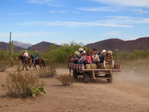 Ride a wagon to lunch in the desert. ©Hilary Nangle