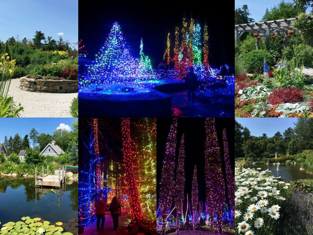 The Coastal Maine Botanical Gardens is one of my favorite experiences, both in summer and winter. Hilary Nangle