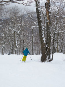 I loved the glades on Tremblant's North Side, especially those in The Edge. @Hilary Nangle 