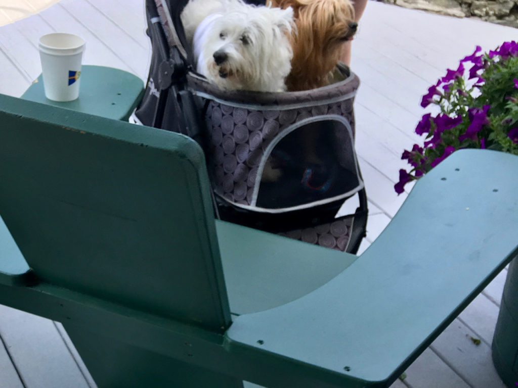 THe Spruce Point Inn is dog friendly. ©Hilary Nangle