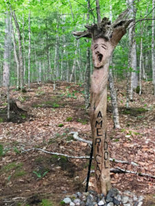 Driftwood sculptures fill the woods on one side of the sculpturepark. 