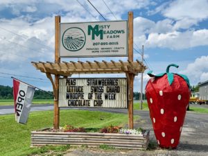 for farm to table fare visit Misty Meadows Organic Farm