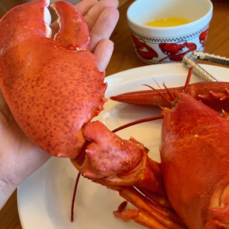 Maine lobster