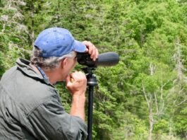 A man uses a spotting scope to look for birds in Acadia National Park