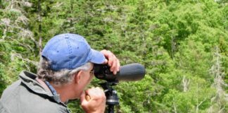 A man uses a spotting scope to look for birds in Acadia National Park