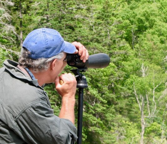 A man uses a spotting scope to look for birds in Acadia National Park