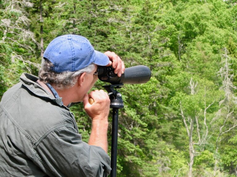 A man uses a spotting scope to look for birds in Acadia National Park