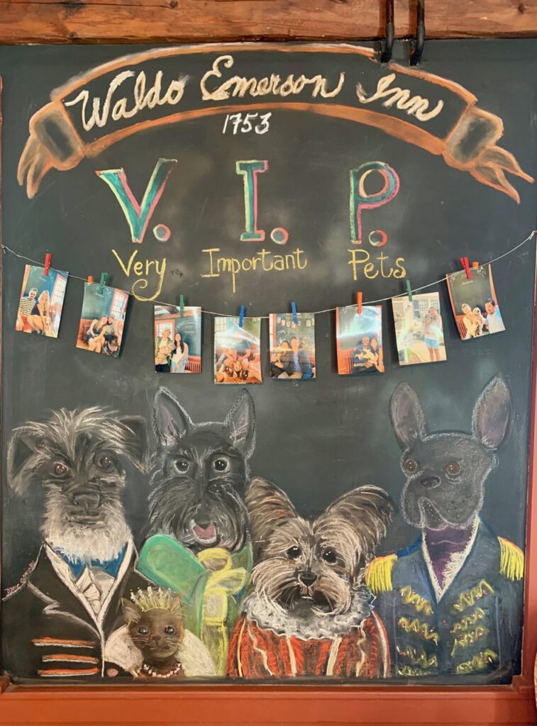 Pets welcome mural in the kitchen