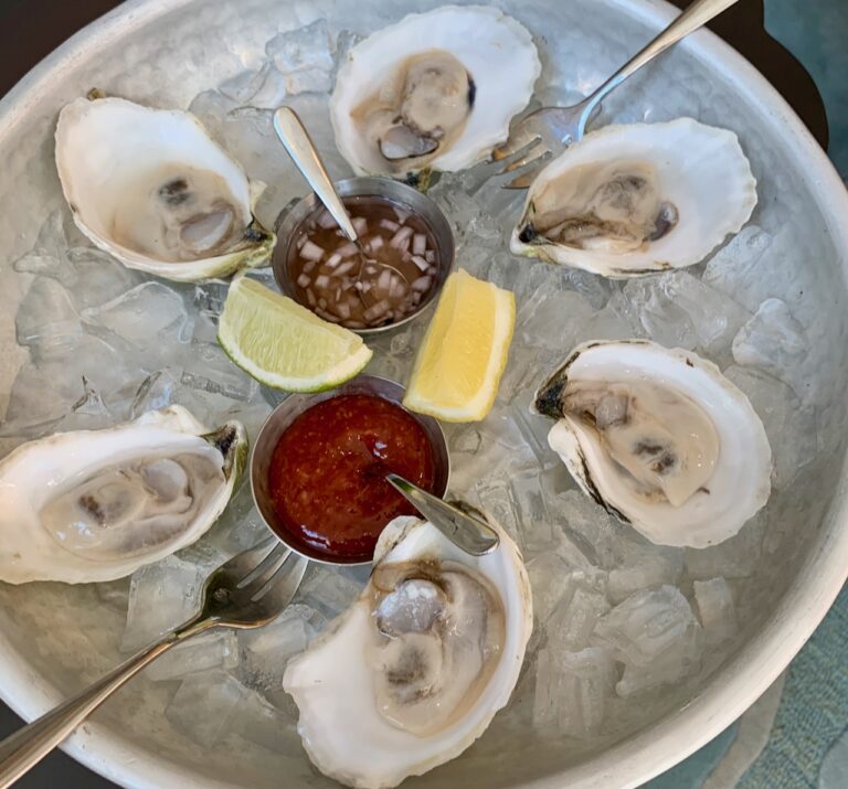 a plate of oysters