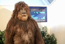 Bigfoot at the international Cryptozoology Museum, one of Maine's best quirky museums