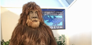 Bigfoot at the international Cryptozoology Museum, one of Maine's best quirky museums